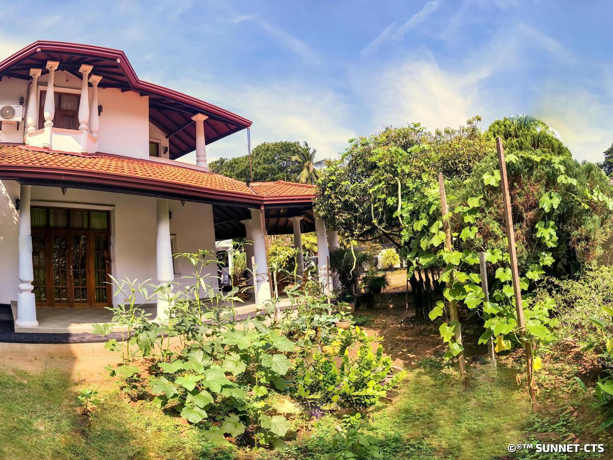 נגומבו Ceylon Pearlwing Resort מראה חיצוני תמונה