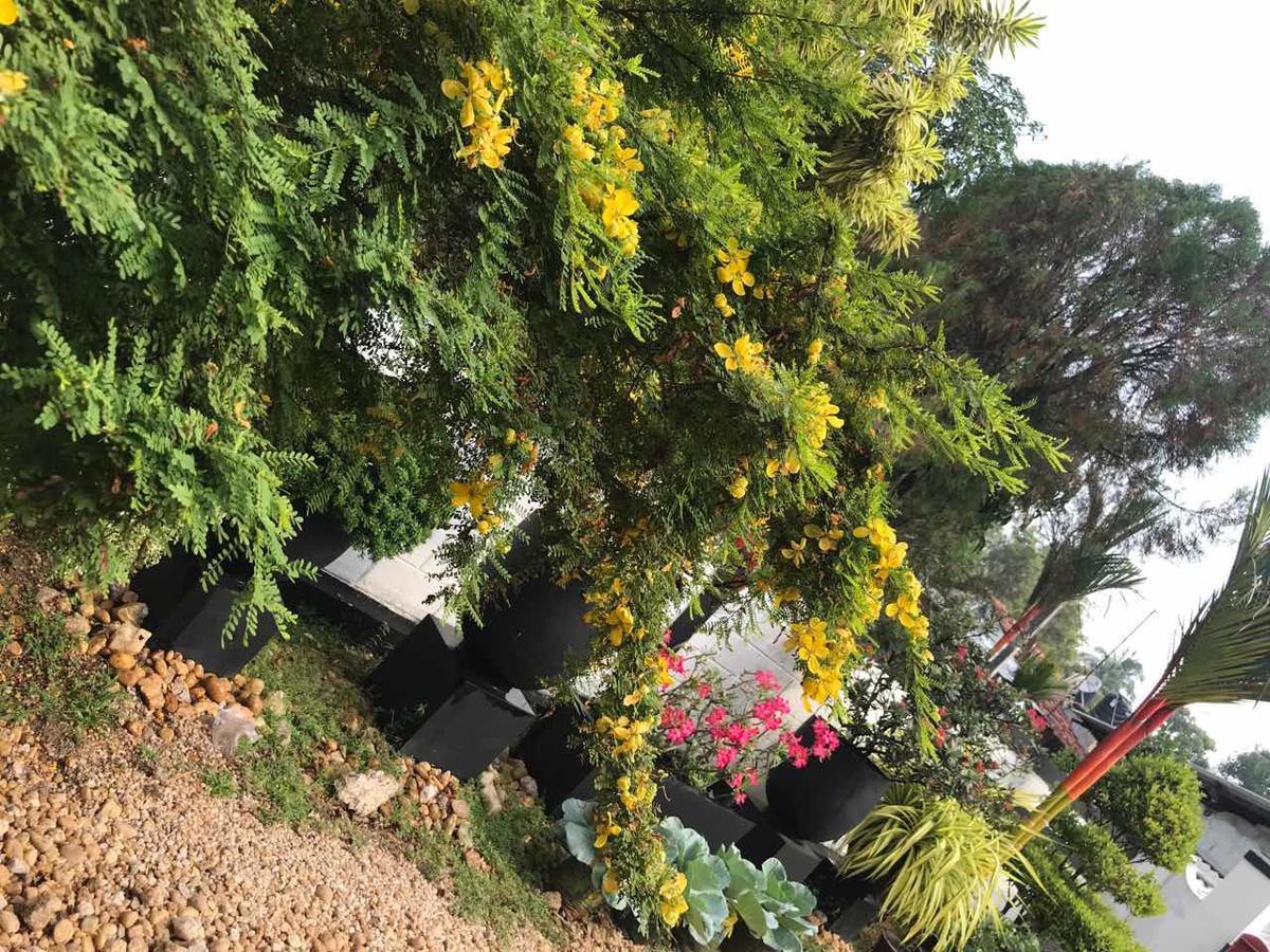 נגומבו Ceylon Pearlwing Resort מראה חיצוני תמונה