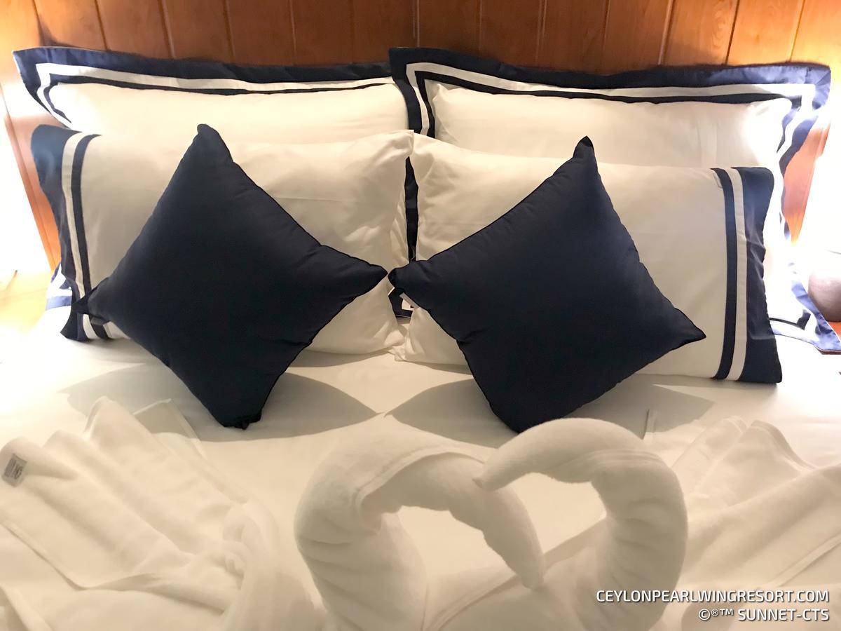 נגומבו Ceylon Pearlwing Resort מראה חיצוני תמונה
