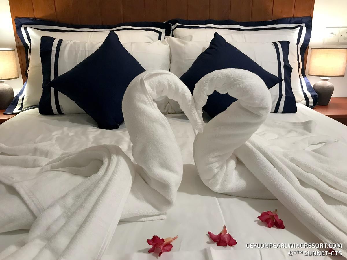 נגומבו Ceylon Pearlwing Resort מראה חיצוני תמונה